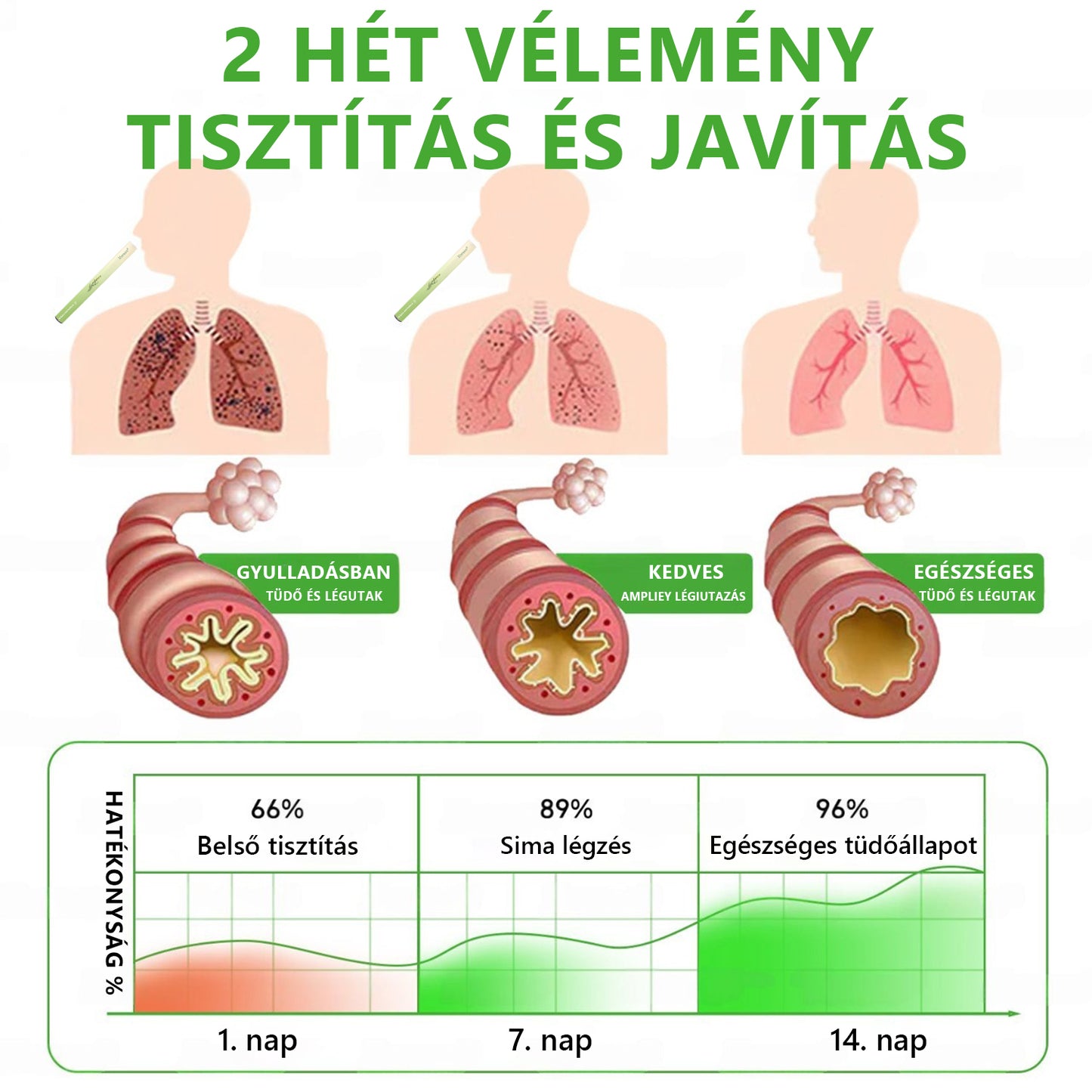 Magyar tulajdonban és üzemeltetésben ✅ Murwon® botanikus ökörfarkkóró (Mullein) tüdőtisztító diffúzor  (🫁 köhögés, garatgyulladás, légszomj, köpet, orrdugulás, hörghurut, hörghurut, allergiás tünetek, tüdő diszkomfort) 💞