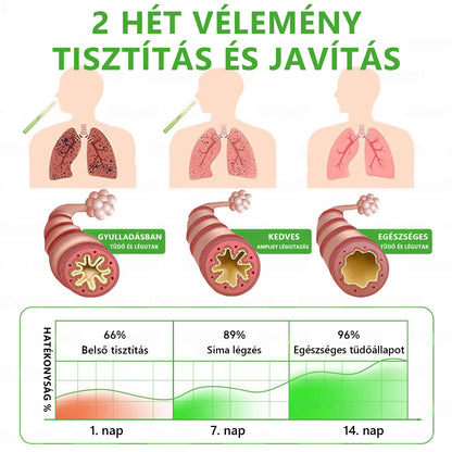 Magyar tulajdonban és üzemeltetésben ✅ Murwon® botanikus ökörfarkkóró (Mullein) tüdőtisztító diffúzor  (🫁 köhögés, garatgyulladás, légszomj, köpet, orrdugulás, hörghurut, hörghurut, allergiás tünetek, tüdő diszkomfort) 💞